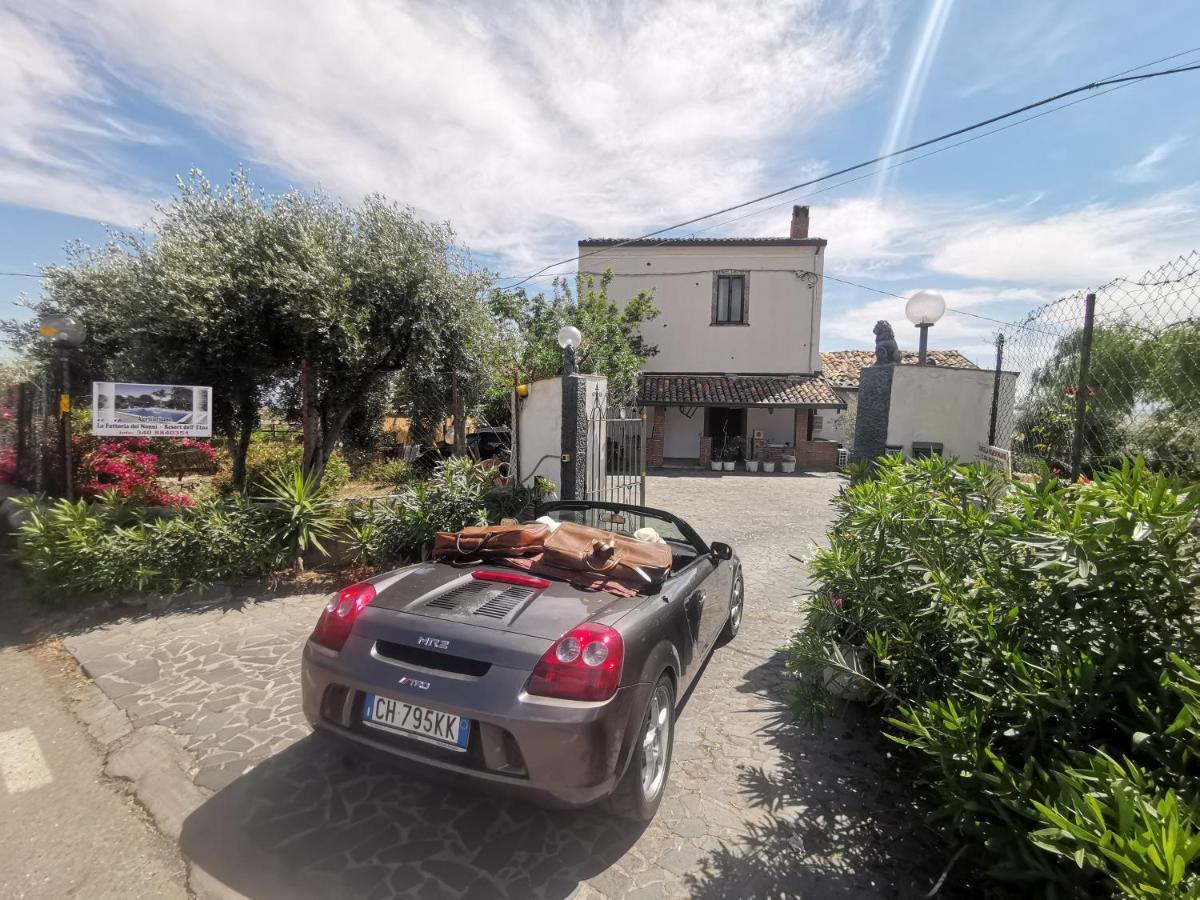 La Fattoria Dei Nonni Hostal Paterno  Exterior foto