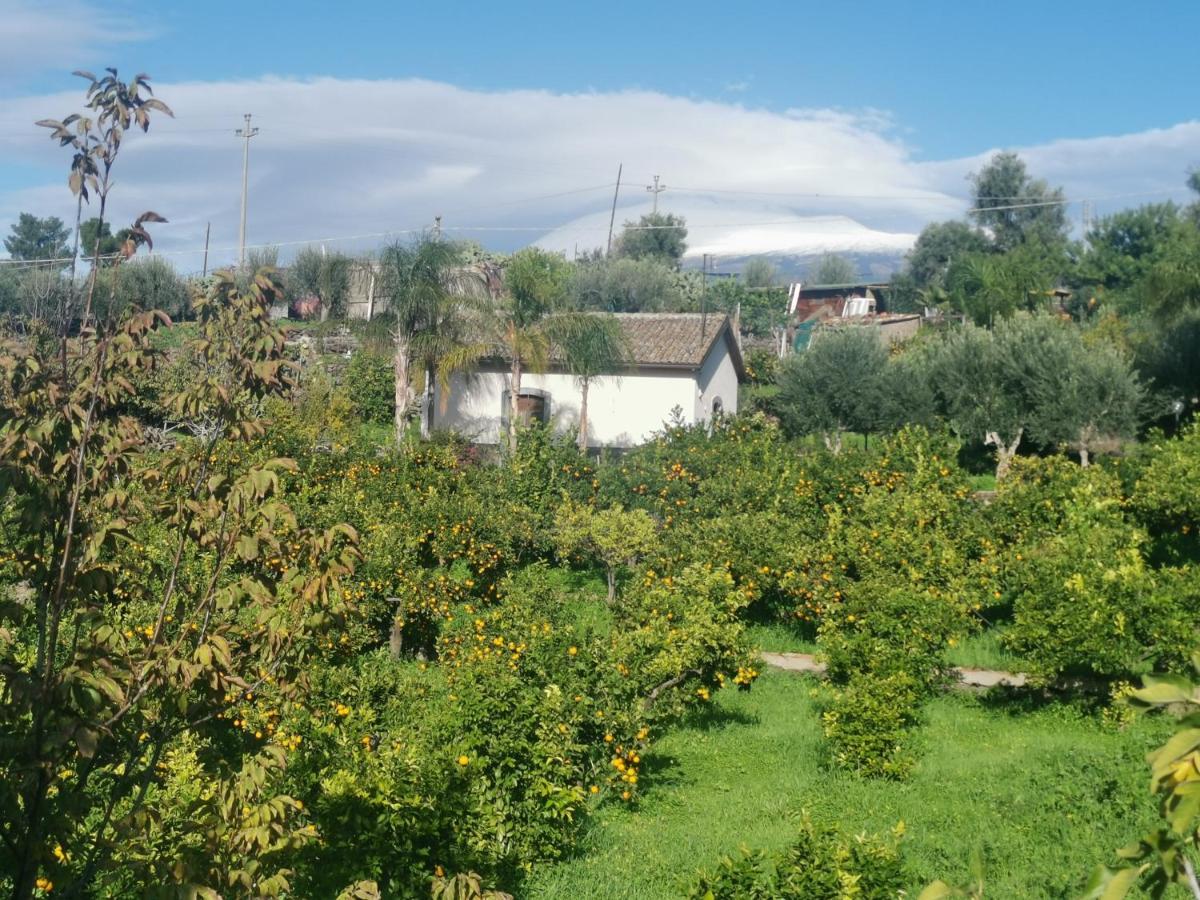 La Fattoria Dei Nonni Hostal Paterno  Exterior foto