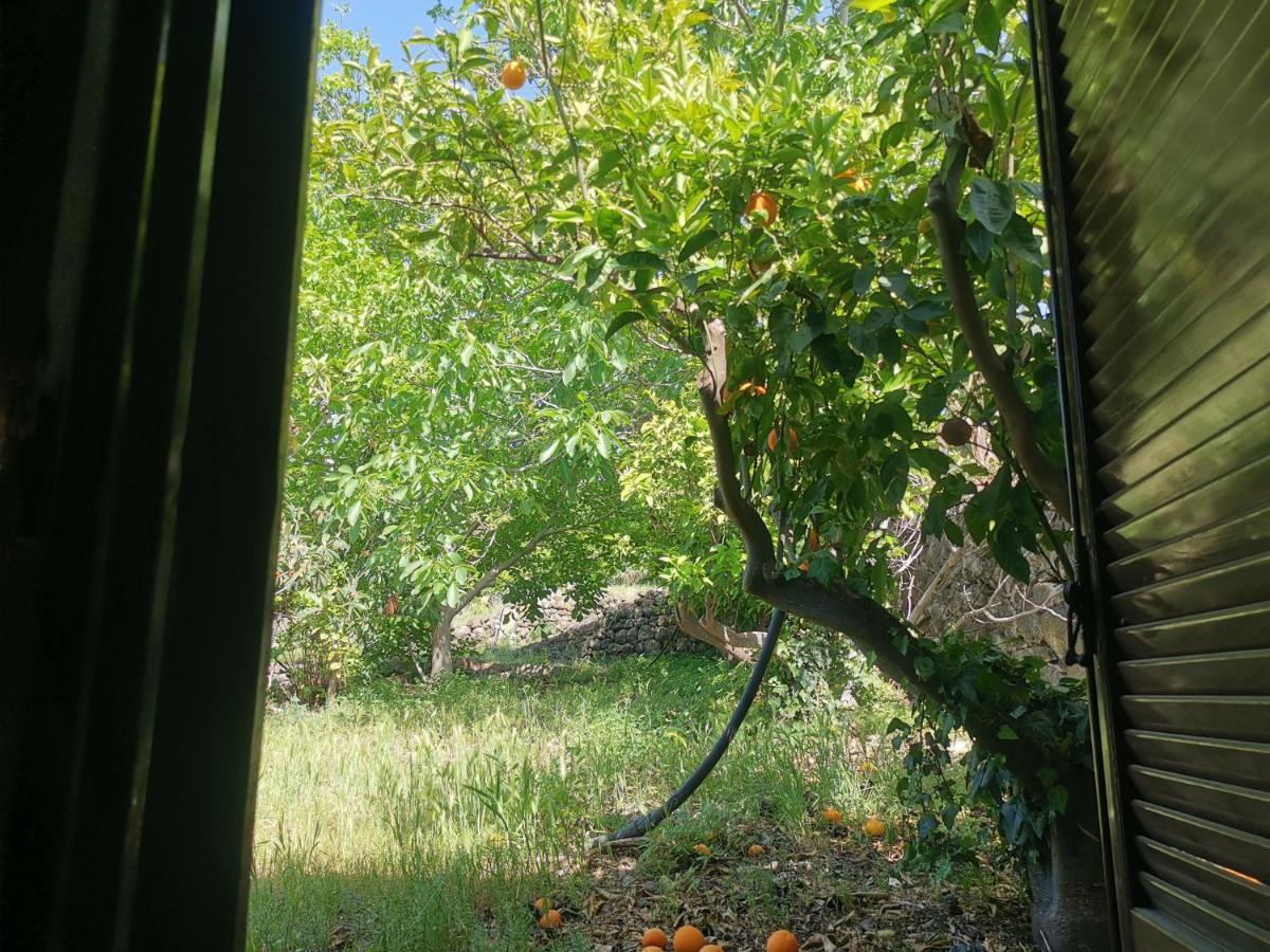 La Fattoria Dei Nonni Hostal Paterno  Exterior foto