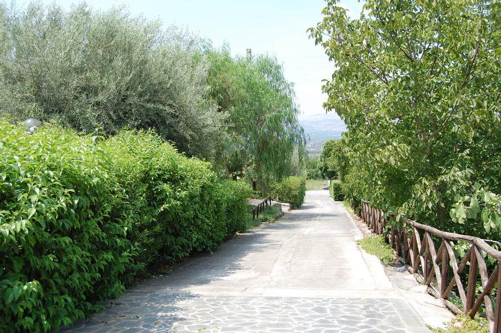 La Fattoria Dei Nonni Hostal Paterno  Exterior foto