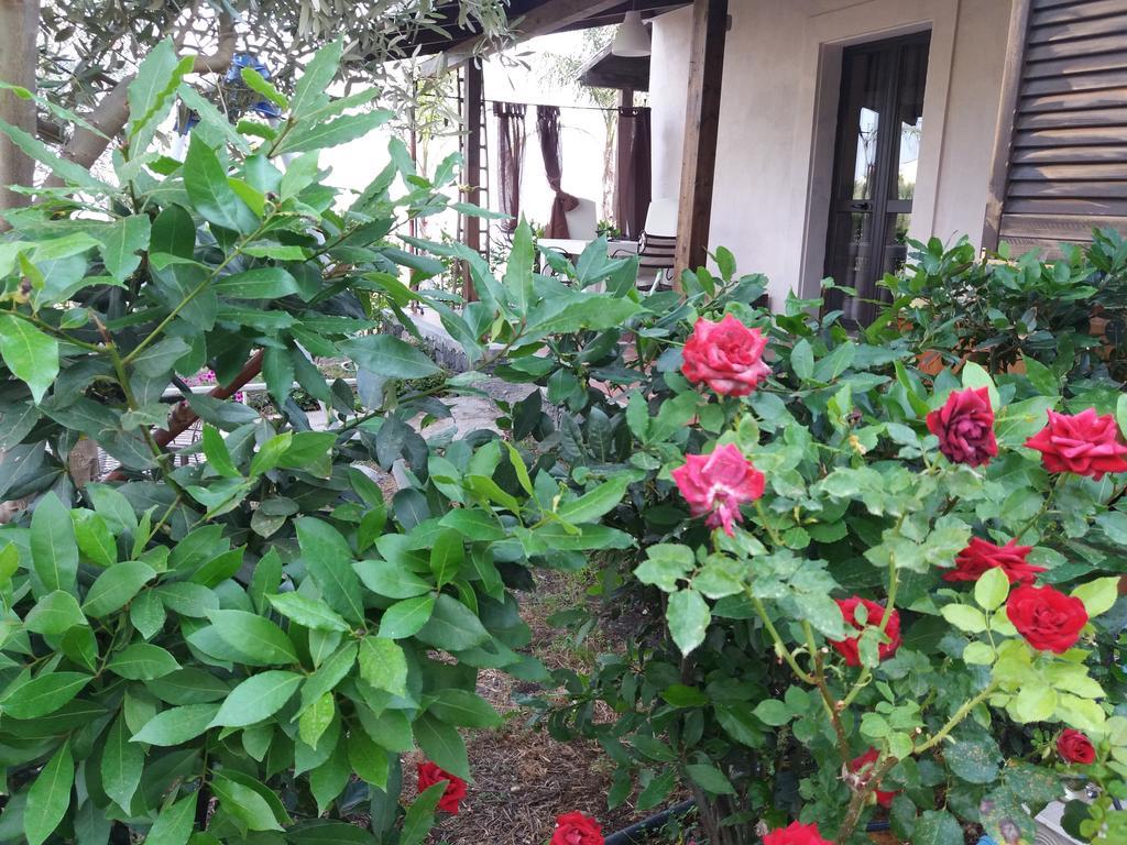 La Fattoria Dei Nonni Hostal Paterno  Exterior foto